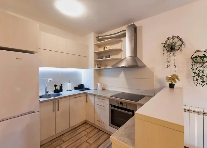 Six - Free Parking * 베오그라드